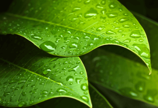 Environmental, Water Technologies & Solutions