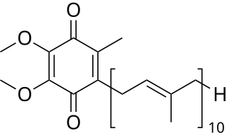 Coenzyme Q10 Supplier and Distributor of Bulk, LTL, Wholesale products