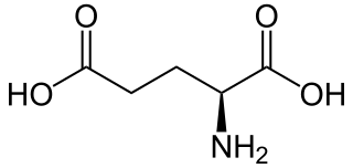 L-Glutamic Acid Supplier and Distributor of Bulk, LTL, Wholesale products