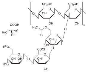 Xanthan Gum Supplier and Distributor of Bulk, LTL, Wholesale products